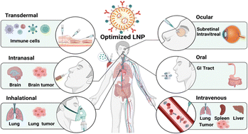 Graphical abstract: Versatility of LNPs across different administration routes for targeted RNA delivery