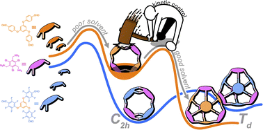 Graphical abstract: Structural control of dynamic covalent cages: kinetic vs. thermodynamic assembly and PFAS removal from water