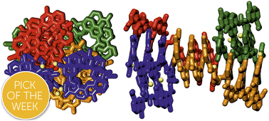 Graphical abstract: An abiotic, tetrameric, eight-helix bundle