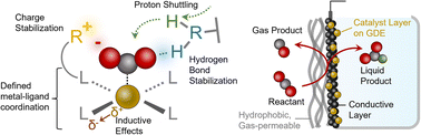 Graphical abstract: Electrocatalysis with molecules and molecular assemblies within gas diffusion electrodes