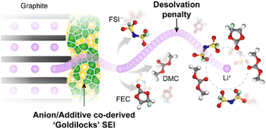 Graphical abstract: Double-edged effects of electrolyte additive on interfacial stability in fast-charging lithium-ion batteries