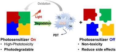 Graphical abstract: Photodynamic therapy with photodegradable photosensitizers