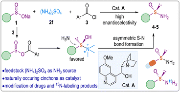 Graphical abstract: Synthesis of chiral N-free sulfinamides by asymmetric condensation of stable sulfinates and ammonium salts