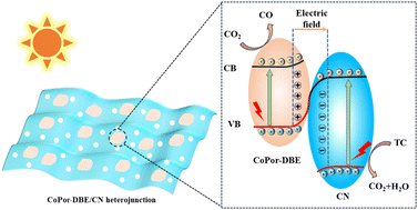 Graphical abstract: A bi-functional S-scheme cobalt-porphyrin conjugated polymer/C3N4 heterojunction for cooperative CO2 reduction and tetracycline degradation