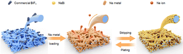 Graphical abstract: Long-life sodium–sulfur batteries enabled by super-sodiophilic seeds