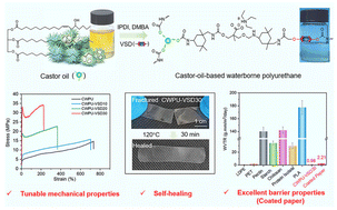 Graphical abstract: High-strength, self-healable, transparent castor-oil-based waterborne polyurethane barrier coatings enabled by a dynamic acylhydrazone co-monomer