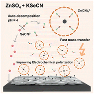 Graphical abstract: Mediation of the electrochemical polarization for durable zinc anode