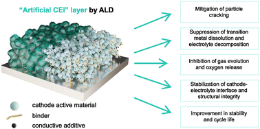 Graphical abstract: Impact of powder and electrode ALD coatings on the performance of intercalation cathodes for lithium–ion batteries