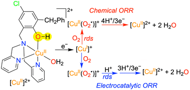 Graphical abstract: Comparing electrocatalytic and chemical oxygen reduction reaction by a molecular copper complex