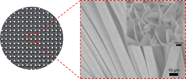 Graphical abstract: Planting MoS2 nanosheets so that they stand vertically on a substrate using a dynamic magnetic field