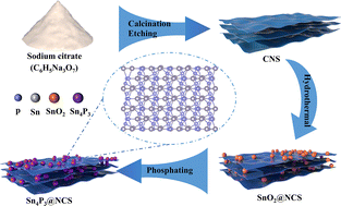 Graphical abstract: Sn4P3-decorated 2D N-doped carbon nanosheets as efficient polysulfide barriers for Li–S batteries