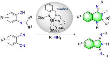 Graphical abstract: Synthesis of 2,3-dihydroquinazolinimines and 1,3-diiminoisoindolines catalyzed by rare earth metal alkyl complexes through tandem addition/cyclization of nitriles with amines