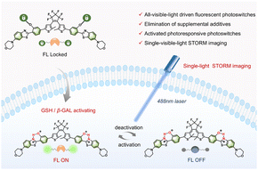 Graphical abstract: Single-visible-light performed STORM imaging with activatable photoswitches