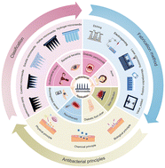 Graphical abstract: Manufacture and application of antibacterial biofilm microneedles