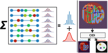 Graphical abstract: Coherent X-ray imaging of stochastic dynamics
