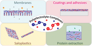 Graphical abstract: Polyelectrolyte complex-based materials for separations: progress, challenges and opportunities