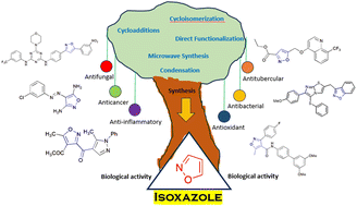Graphical abstract: Advances in isoxazole chemistry and their role in drug discovery