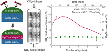 Graphical abstract: Unveiling the dynamic CO2 capture performance of MgO promoted with molten salts and CaCO3via fixed bed reactor experiments