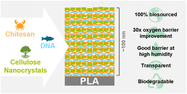 Graphical abstract: Fully biobased and biodegradable oxygen barrier coating for poly(lactic acid)