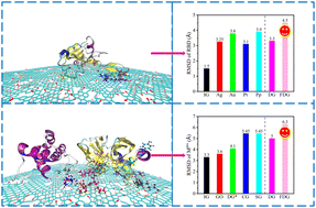 Graphical abstract: The interface hydrophilic–hydrophobic integration of fluorinated defective graphene towards biomedical applications