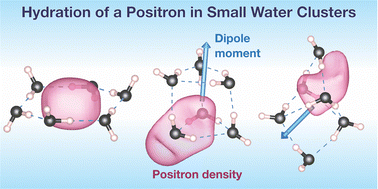 Graphical abstract: Applications of the density functional method combined with the electron–positron correlation-polarization potential to positron binding to hydrocarbons and water clusters