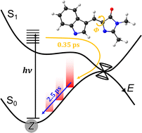 Graphical abstract: Ultrafast photophysics of the cyan fluorescent protein chromophore in solution