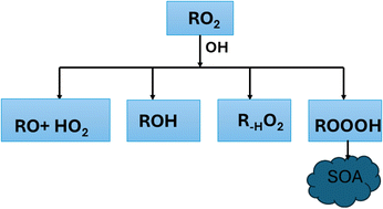 Graphical abstract: Investigation of organic hydrotrioxide (ROOOH) formation from RO2 + OH reactions and their atmospheric impact using a chemical transport model, STOCHEM-CRI