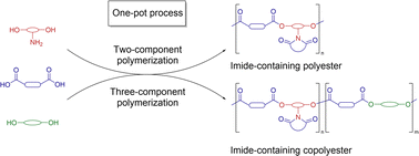 Graphical abstract: Sustainable one-pot synthesis of imide-containing polyesters with programmable structures and tunable performance