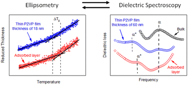 Graphical abstract: Molecular mobility of thin films and the adsorbed layer of poly(2-vinylpyridine)
