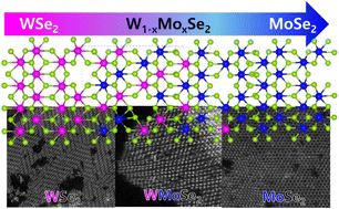 Graphical abstract: 2M phase stability of WSe2–MoSe2 alloy nanosheets via a colloidal reaction and their Se-rich model calculations