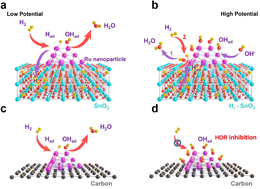 Graphical abstract: Hydrogen stored in Ru/SnO2 induce alkaline hydrogen oxidation reactions in a wide potential range