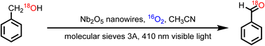 Graphical abstract: Visible light-initiated selective aerobic oxidation of alcohols over niobium oxide nanowires: an oxygen isotope labeling study