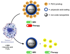 Graphical abstract: Pt(iv)-functionalised polyacrylic acid-coated iron oxide magnetic nanoparticles as redox-responsive cancer theranostics