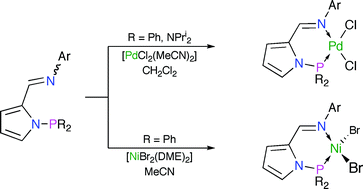 Graphical abstract: Chelating N-pyrrolylphosphino-N′-arylaldimine ligands: synthesis, ligand behaviour and applications in catalysis