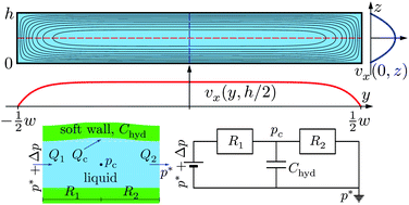 Graphical abstract: Acoustofluidics 1: Governing equations in microfluidics