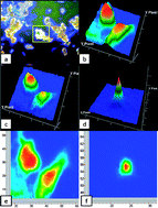 Graphical abstract: Attenuated total reflection Fourier transform infrared (ATR-FTIR) spectroscopy of a single endothelial cell