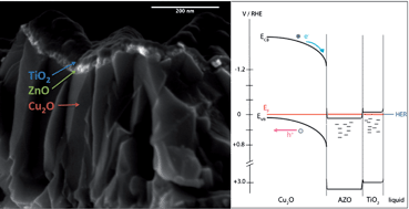 Graphical abstract: Ultrathin films on copper(i) oxide water splitting photocathodes: a study on performance and stability