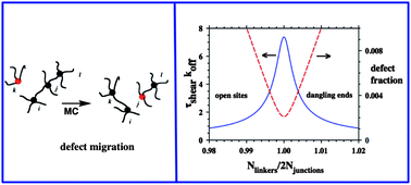Graphical abstract: Effects of defects on the shear stress relaxation in self-assembled protein networks