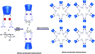 Graphical abstract: A non enzymatic glucose biosensor based on an ultrasensitive calix[4]arene functionalized boronic acid gold nanoprobe for sensing in human blood serum
