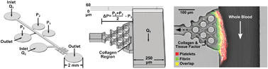 Graphical abstract: Side view thrombosis microfluidic device with controllable wall shear rate and transthrombus pressure gradient