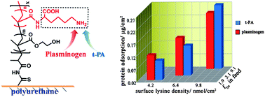 Graphical abstract: Regulation of fibrinolytic protein adsorption on polyurethane surfaces by modification with lysine-containing copolymers