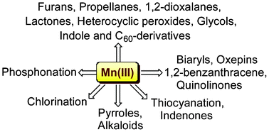 Graphical abstract: Recent advances in manganese(iii) acetate mediated organic synthesis