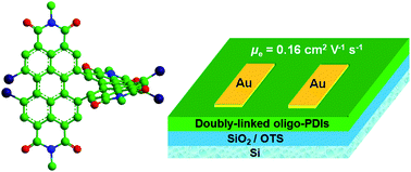 Graphical abstract: Perpendicularly entangled perylene diimides for high performance electron transport materials