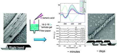 Graphical abstract: In situ helicity inversion of self-assembled nano-helices