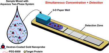 Graphical abstract: Simultaneous concentration and detection of biomarkers on paper