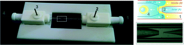 Graphical abstract: A 3D-printed microcapillary assembly for facile double emulsion generation