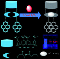 Graphical abstract: A pyrenyl linked calix[4]arene fluorescence probe for recognition of ferric and phosphate ions