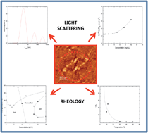 Graphical abstract: Micellar self-assembly, bridging and gelling behaviour of two reverse triblock poly(butylene oxide)–poly(ethylene oxide)–poly(butylene oxide) copolymers with lengthy hydrophilic blocks