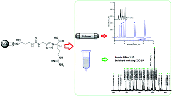 Graphical abstract: An arginine-functionalized stationary phase for hydrophilic interaction liquid chromatography