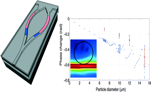 Graphical abstract: On-chip phase measurement for microparticles trapped on a waveguide